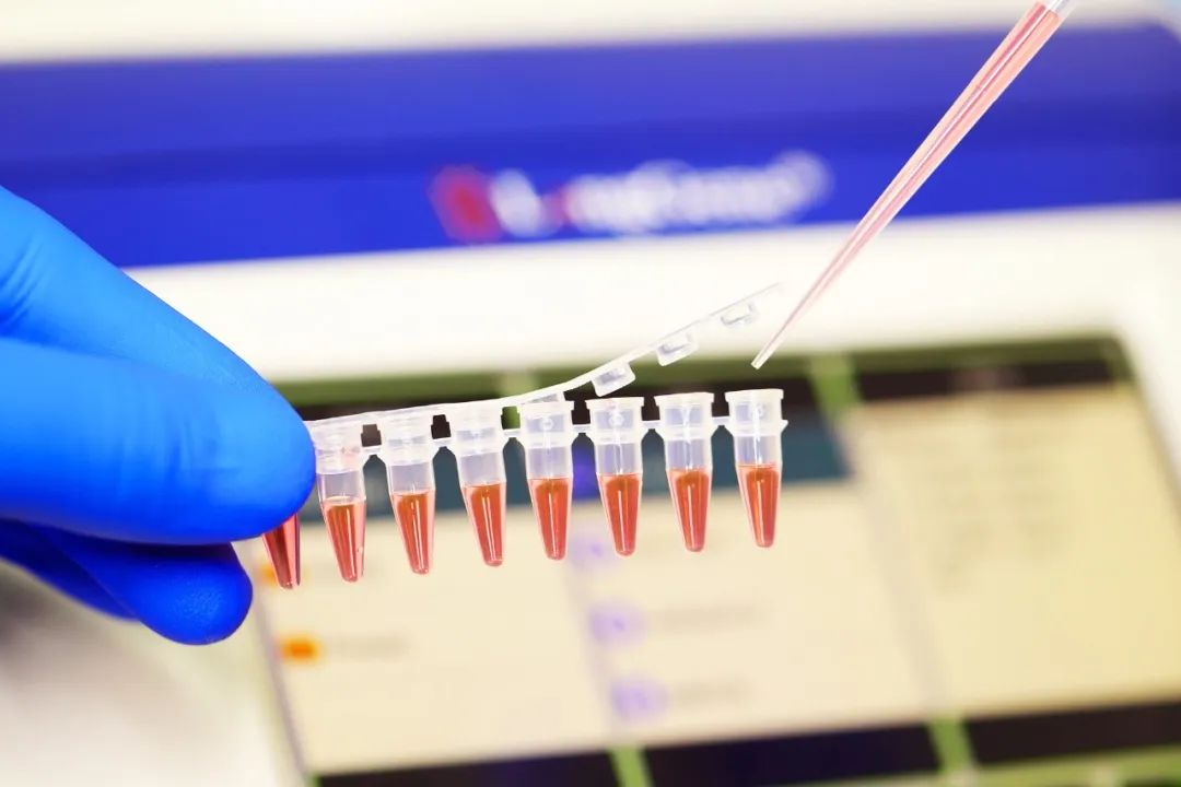 PCR/qPCR хэрэглээний материалыг хэрхэн сонгох вэ?